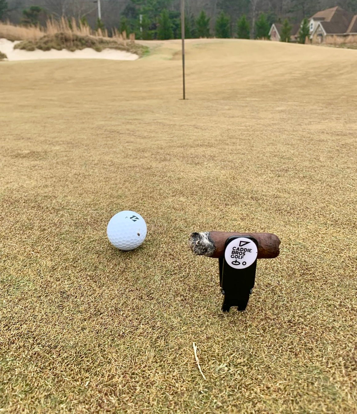 Magnetic Divot Tool